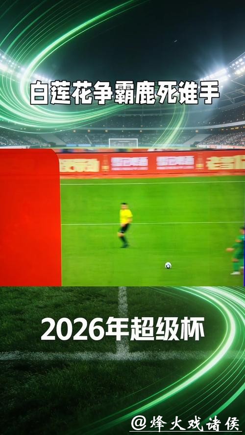 重温经典:世界杯2026决赛完整回放 重温经典:世界杯2026决赛完整回放